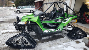 Arctic cat wILDCAT 1000