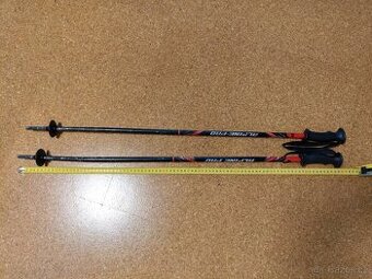 Hůlky na sjezdovky 90 cm