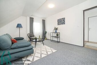 Pronájem bytu 1+1, 35 m2, Luby, ev.č. 01067