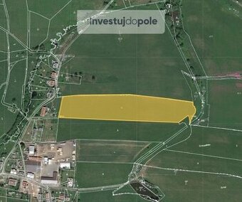 Prodej louky v k.ú. Březová u Broumova