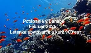 Potapačsky kurz