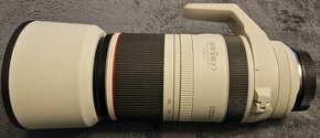 Canon RF 100-500  F4.5-7.1 L IS USM