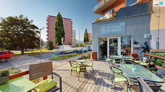 Prodej nebytového prostoru (Kavárna Buková), 242m2, ulice Bu