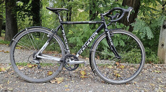Kolo Focus Mares AX
