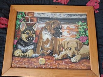 Obraz se psy