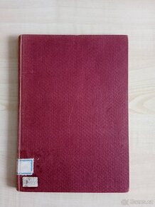 Dějinné studie o vzniku ras koní