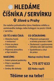 Číšník - Servírka