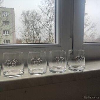 whiskovky pitbull vypískované
