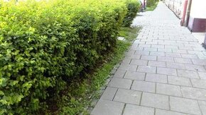 K prodeji pozemek pro bytové domy - Prostějov