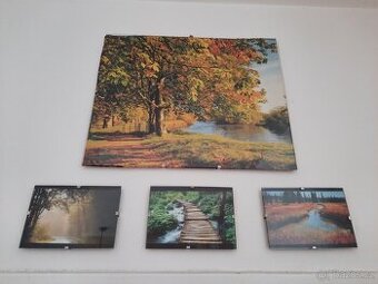 obrázky na zeď