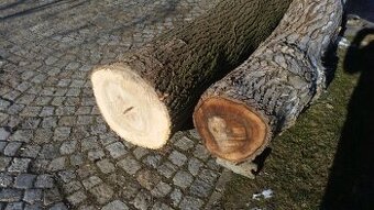 Ořešák, jasan