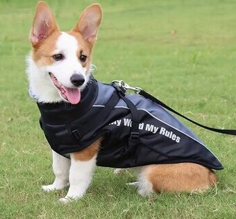 Zimní obleček pro psa