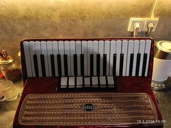 Harmonika akordeon delicia