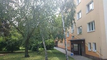 3+1 Zdeňka Štěpánka