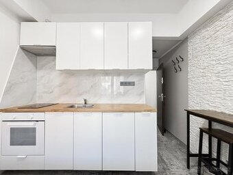 Pronájem bytu 1+kk, 21 m2, Praha 2 - Nové Město, Sokolská