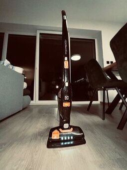 Electrolux Ergorapido 2v1