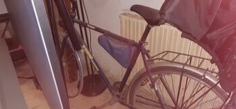 pánské kolo