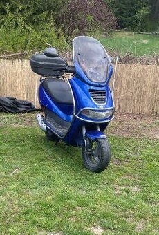 peguet elyseo 50ccm