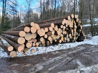 Koupím Smrkovou kulatinu