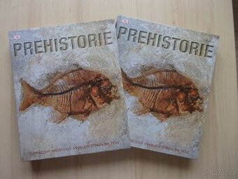 PREHISTORIE - VELKÁ OBRAZOVÁ PUBLIKACE I S OBALEM