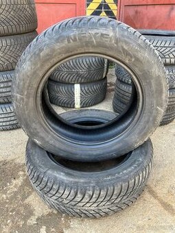 Celoroční pneu Nexen 4-seasons 225/60 R17