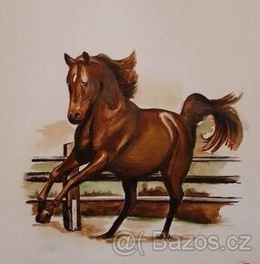 Prodám obraz - olejomalbu 50x50cm