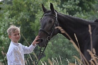 klisna Joela-slovenský teplokrevník, věk-10let