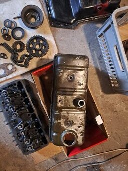 Felicia octavia spartak veterán