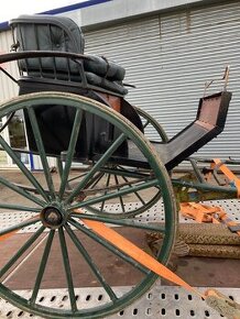 sulka riksa gig dvojkolka jako maratonak/morgan kone popruhy