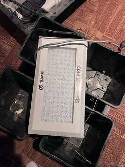 Sada na pěstování