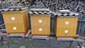Prodám vyzimovaná včelstva
