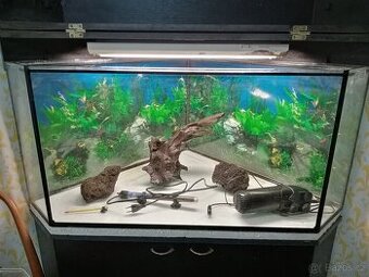 Rohové akvarium - 1