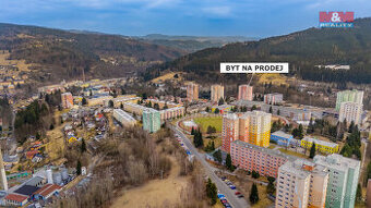 Prodej bytu 1+1, 27 m², Tanvald, ul. U Školky