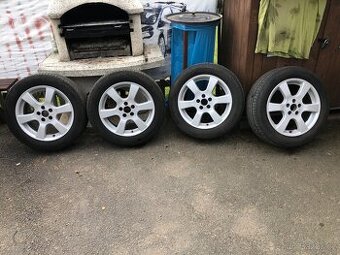 Alu 5x 100