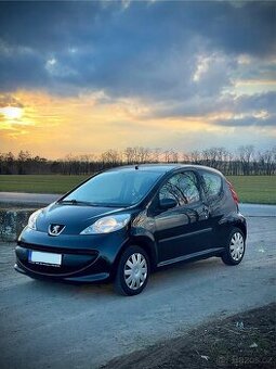Pronájem Auta na rozvozy 4,5L/100km