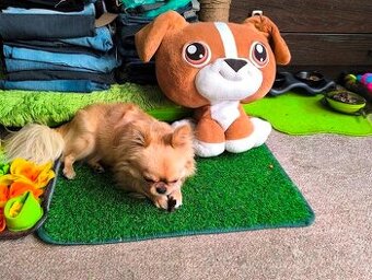 Little Pet shop orig. plyšák maxi pejsek hnědý orig.