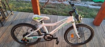 Core Nipper 20" - po servisu