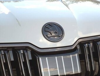 Skoda cerny znak cerne loga emblemy