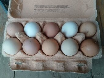 Domácí vejce/vajíčka