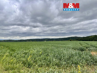 Prodej pole, 22965 m², Měcholupy