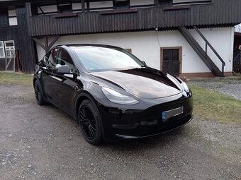 Tesla Model Y Performance