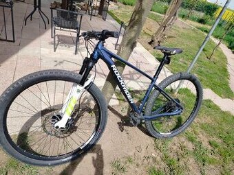 Horké kolo RockRaider XC100 29"