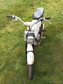Jawa mustang