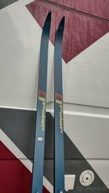 Běžky Artis polar - 1