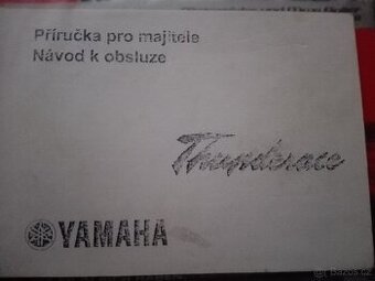Uživatelská příručka Yamaha YZF Thunder Ace 2002