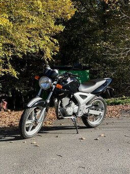 Honda cbf 250