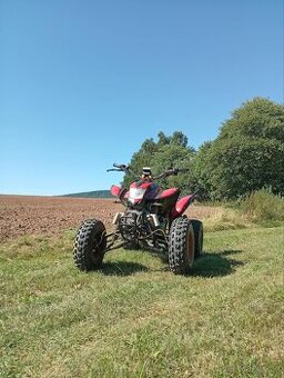 Bashan 250