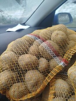 Brambory odrůda vineta