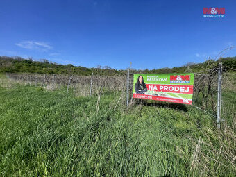 Prodej vinice, 9215 m², Sedlec