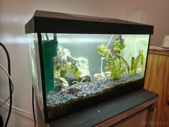 Akvárium prodej 40l - 1